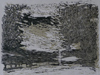gravure sur bois