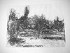 gravure - eau-forte