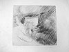 gravure - eau-forte
