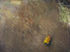 peinture nature morte